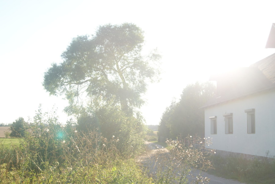 mrągowski, Sorkwity, Kozłowo, Zostań Lordem Kozłowa – Działka na Mazurach Czeka na Ciebie!