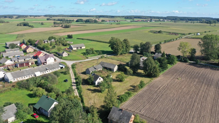 kolneński, Grabowo, Łebki Duże, Siedlisko  do własnej aranżacji
