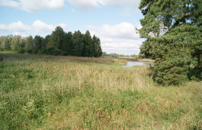 mrągowski, Piecki, Piecki działki budowlane z dostępem do wody