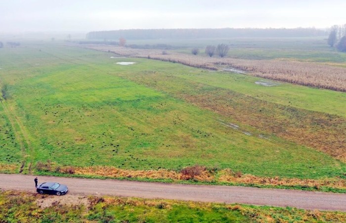 giżycki, Wydminy, Siedliska, Działki rolne i jedna bud. Siedliska gm Wydminy