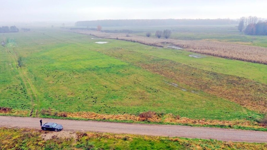 giżycki, Wydminy, Siedliska, Działki rolne i jedna bud. Siedliska gm Wydminy