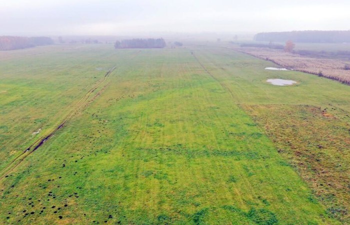 giżycki, Wydminy, Siedliska, Działki rolne i jedna bud. Siedliska gm Wydminy