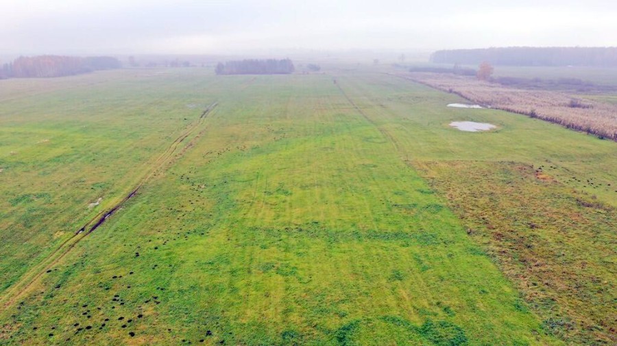 giżycki, Wydminy, Siedliska, Działki rolne i jedna bud. Siedliska gm Wydminy