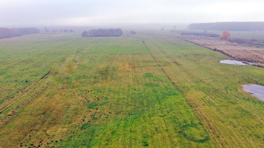 giżycki, Wydminy, Siedliska, Działki rolne i jedna bud. Siedliska gm Wydminy
