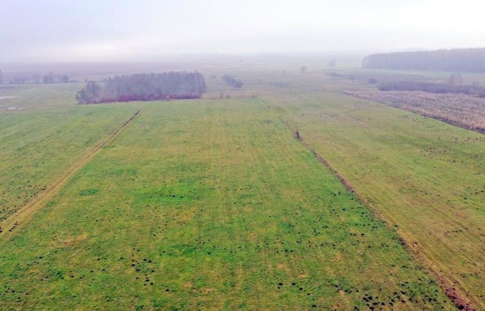 giżycki, Wydminy, Siedliska, Działki rolne i jedna bud. Siedliska gm Wydminy