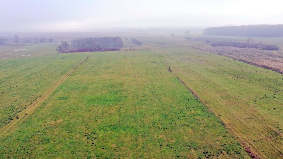 giżycki, Wydminy, Siedliska, Działki rolne i jedna bud. Siedliska gm Wydminy