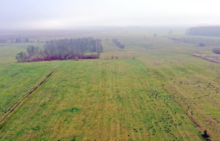 giżycki, Wydminy, Siedliska, Działki rolne i jedna bud. Siedliska gm Wydminy