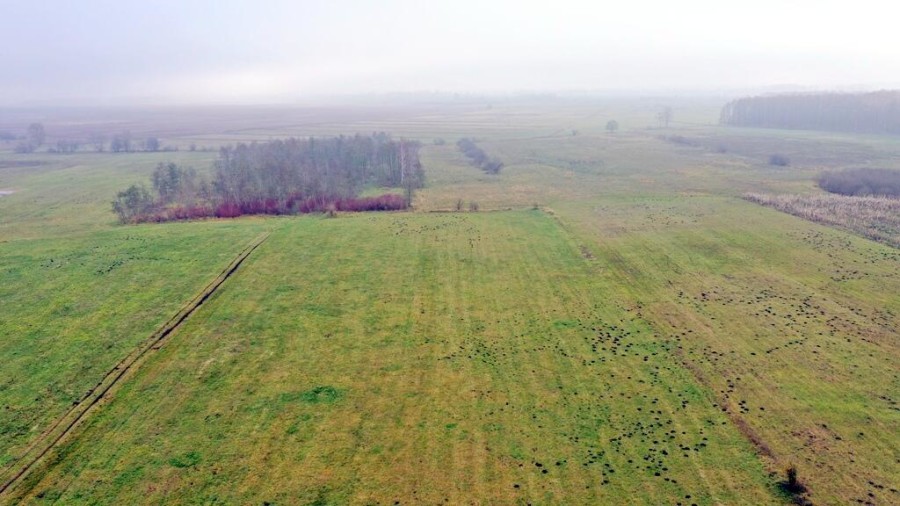 giżycki, Wydminy, Siedliska, Działki rolne i jedna bud. Siedliska gm Wydminy