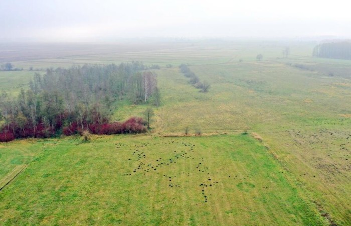 giżycki, Wydminy, Siedliska, Działki rolne i jedna bud. Siedliska gm Wydminy
