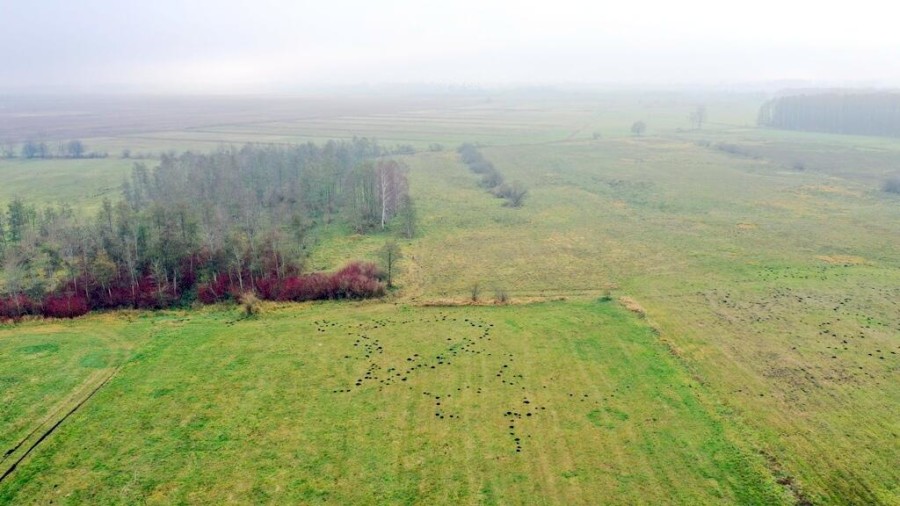 giżycki, Wydminy, Siedliska, Działki rolne i jedna bud. Siedliska gm Wydminy