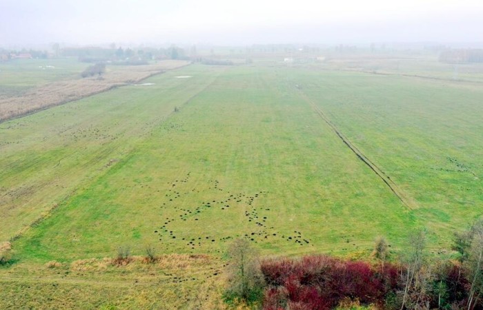 giżycki, Wydminy, Siedliska, Działki rolne i jedna bud. Siedliska gm Wydminy