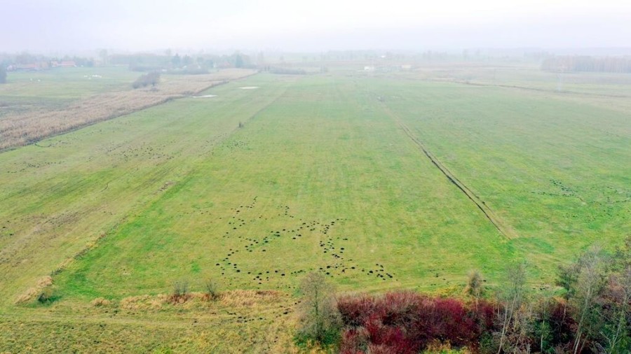 giżycki, Wydminy, Siedliska, Działki rolne i jedna bud. Siedliska gm Wydminy