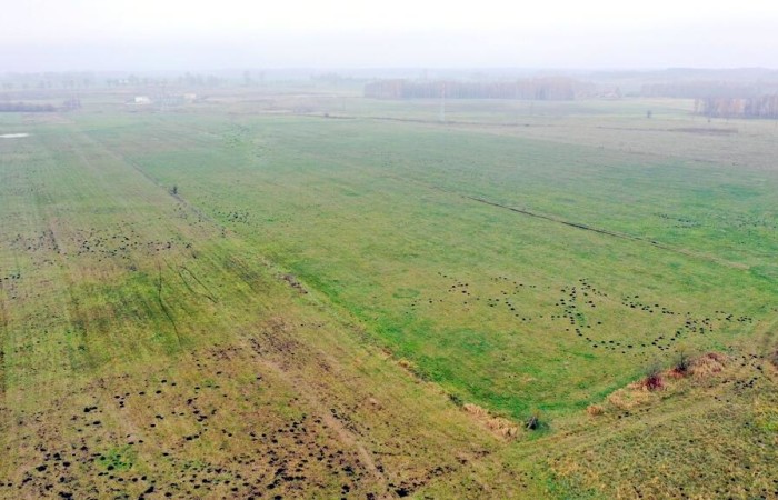 giżycki, Wydminy, Siedliska, Działki rolne i jedna bud. Siedliska gm Wydminy