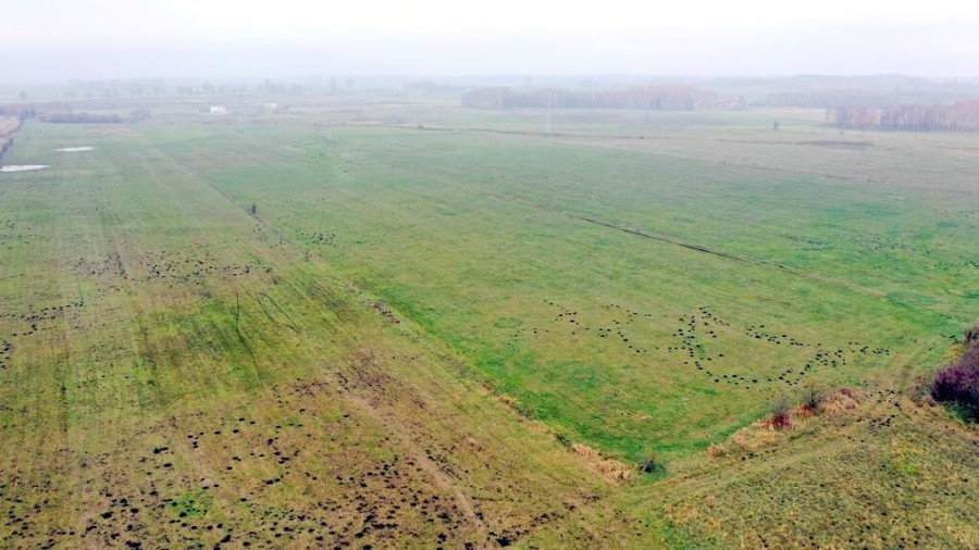 giżycki, Wydminy, Siedliska, Działki rolne i jedna bud. Siedliska gm Wydminy