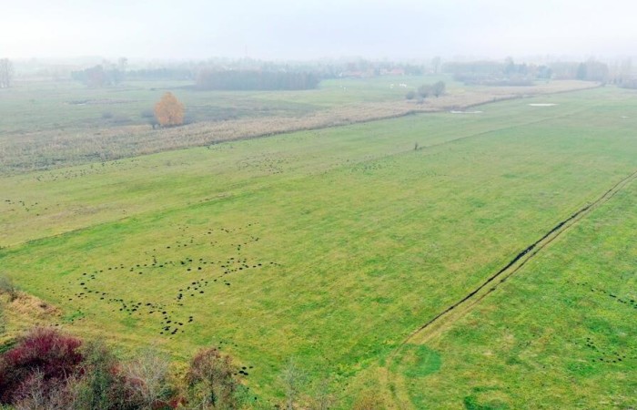 giżycki, Wydminy, Siedliska, Działki rolne i jedna bud. Siedliska gm Wydminy