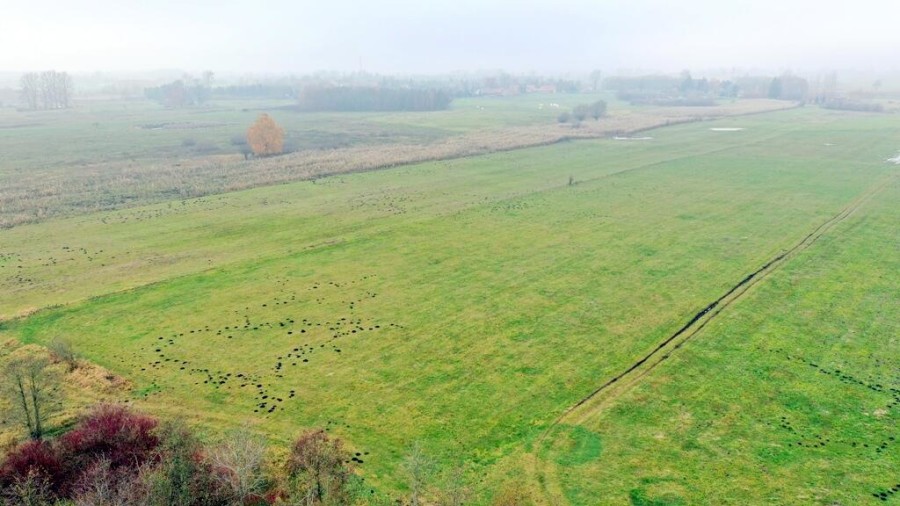 giżycki, Wydminy, Siedliska, Działki rolne i jedna bud. Siedliska gm Wydminy