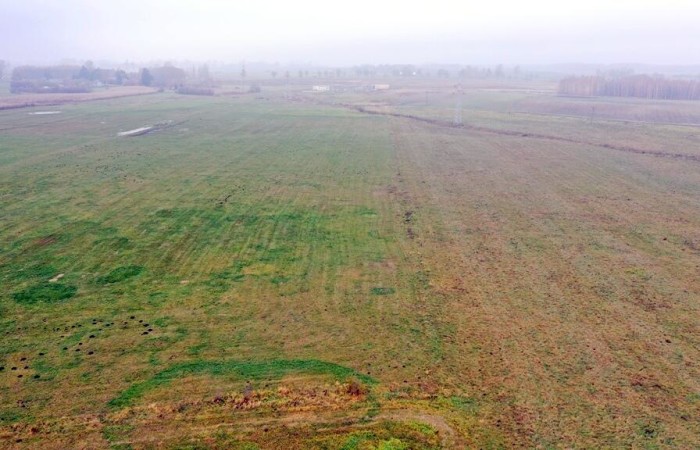 giżycki, Wydminy, Siedliska, Działki rolne i jedna bud. Siedliska gm Wydminy