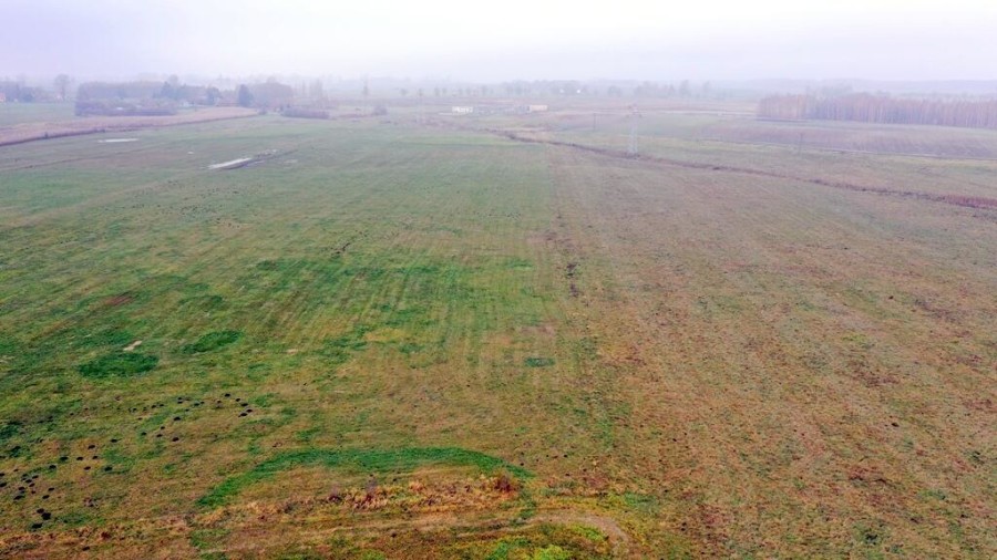 giżycki, Wydminy, Siedliska, Działki rolne i jedna bud. Siedliska gm Wydminy