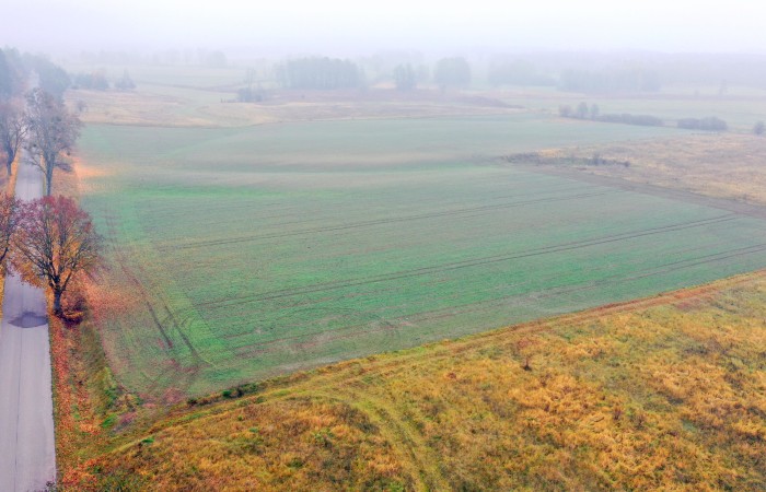 piski, Orzysz, Dziubiele, Działki rolne w świetnej lokalizacji