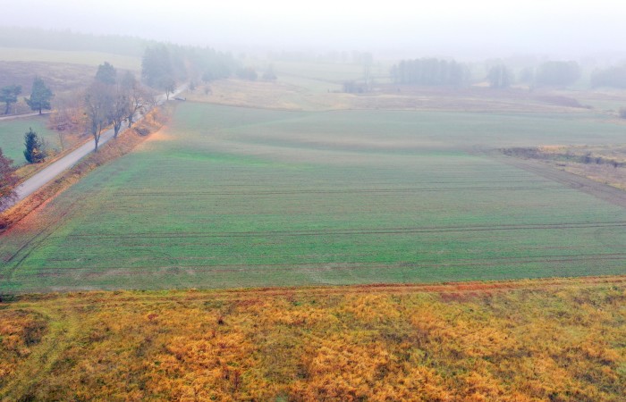 piski, Orzysz, Dziubiele, Działki rolne w świetnej lokalizacji