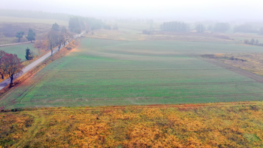 piski, Orzysz, Dziubiele, Działki rolne w świetnej lokalizacji