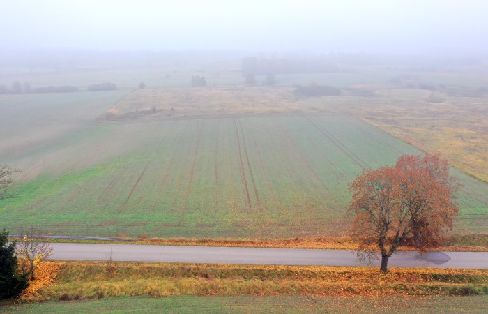 piski, Orzysz, Dziubiele, Działki rolne w świetnej lokalizacji