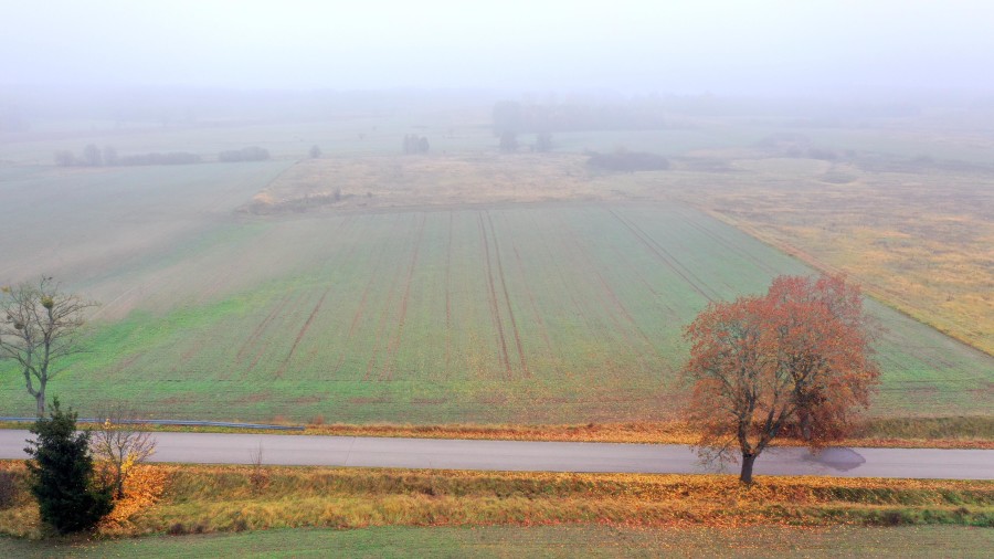piski, Orzysz, Dziubiele, Działki rolne w świetnej lokalizacji