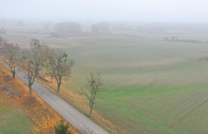 piski, Orzysz, Dziubiele, Działki rolne w świetnej lokalizacji