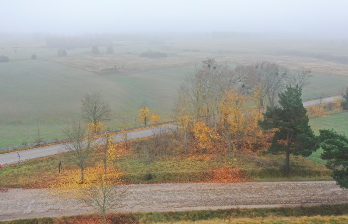 piski, Orzysz, Dziubiele, Działki rolne w świetnej lokalizacji