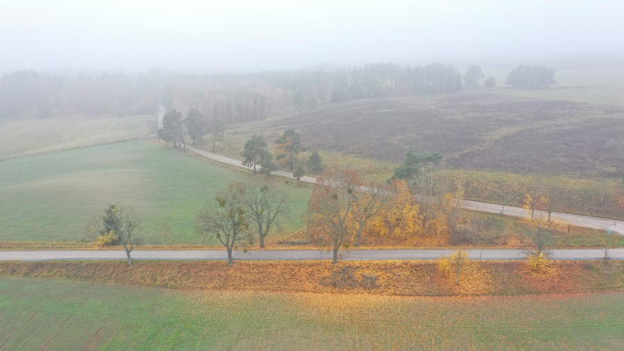 piski, Orzysz, Dziubiele, Działki rolne w świetnej lokalizacji