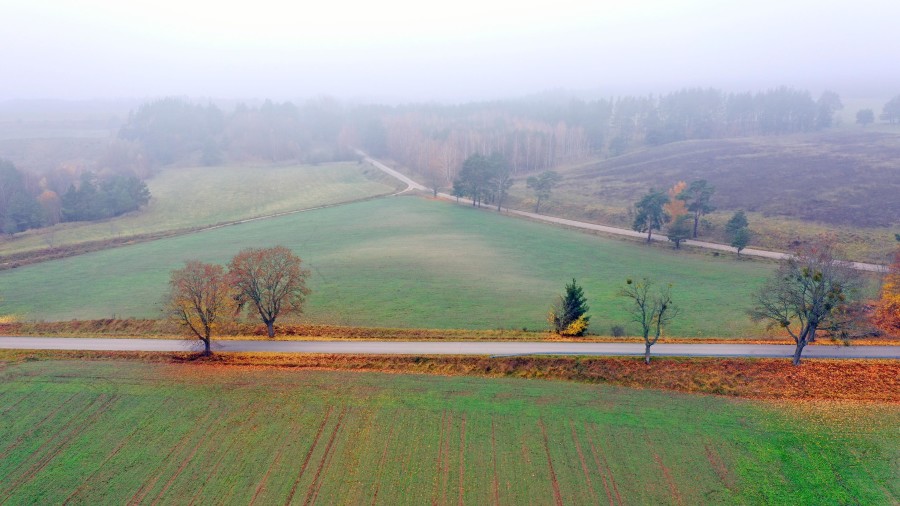 piski, Orzysz, Dziubiele, Działki rolne w świetnej lokalizacji