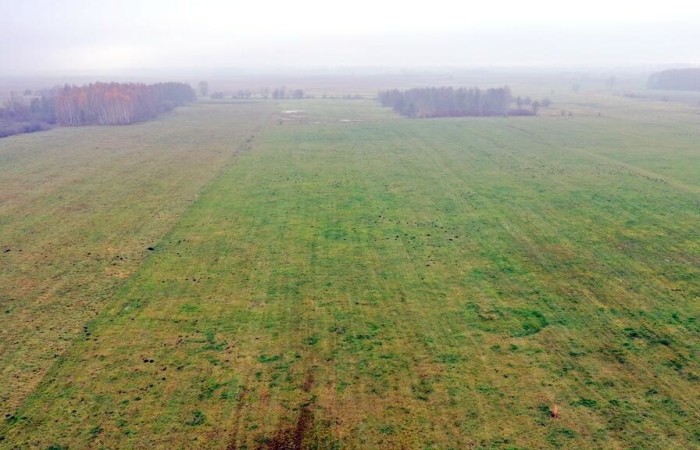 giżycki, Wydminy, Siedliska, Działki Siedliska gm Wydminy