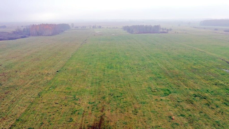 giżycki, Wydminy, Siedliska, Działki Siedliska gm Wydminy