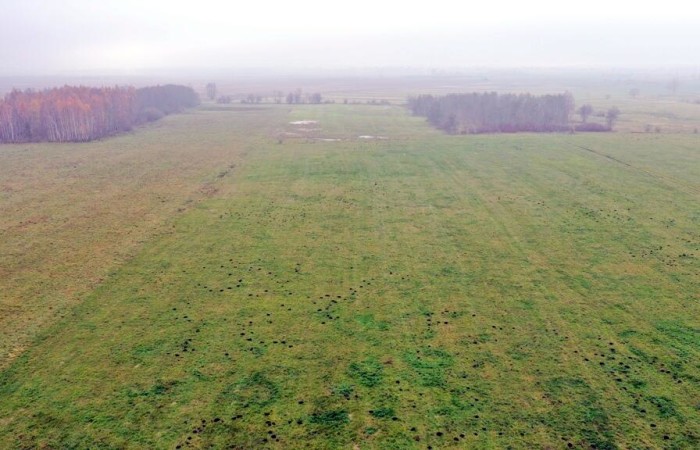 giżycki, Wydminy, Siedliska, Działki Siedliska gm Wydminy