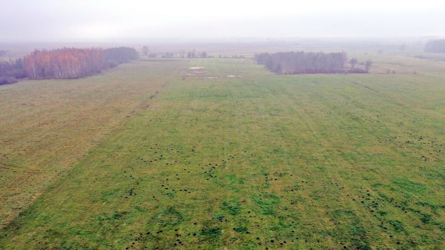 giżycki, Wydminy, Siedliska, Działki Siedliska gm Wydminy