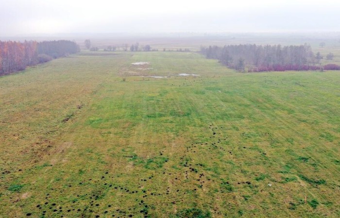 giżycki, Wydminy, Siedliska, Działki Siedliska gm Wydminy