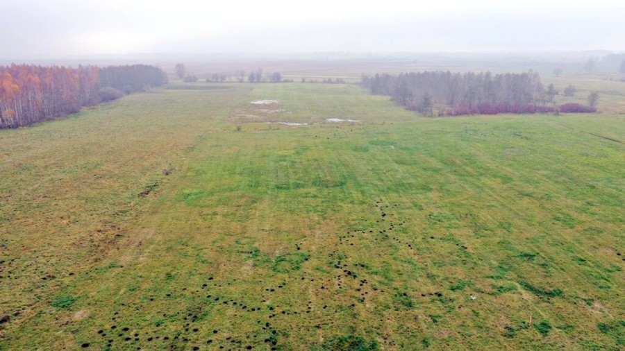 giżycki, Wydminy, Siedliska, Działki Siedliska gm Wydminy