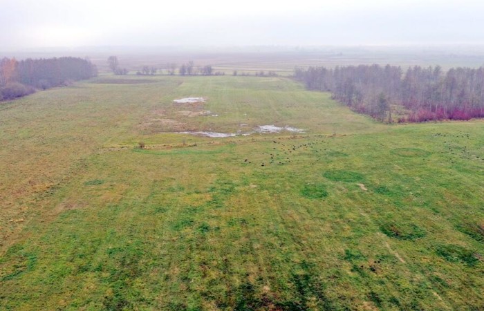 giżycki, Wydminy, Siedliska, Działki Siedliska gm Wydminy