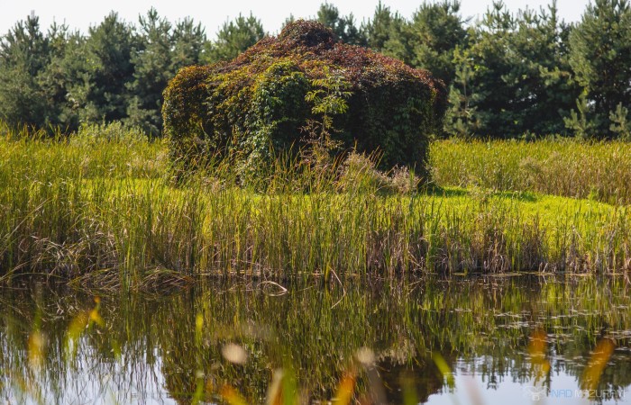 węgorzewski, Węgorzewo, Czerwony Dwór, Działka plus dom do wykończenia.
