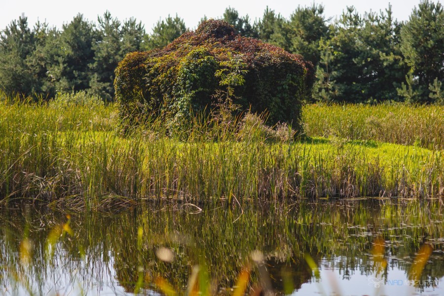 węgorzewski, Węgorzewo, Czerwony Dwór, Działka plus dom do wykończenia.