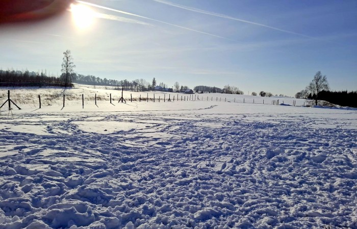 węgorzewski, Pozezdrze, Pieczarki, Działka bud. Pieczarki gm Pozezdrze