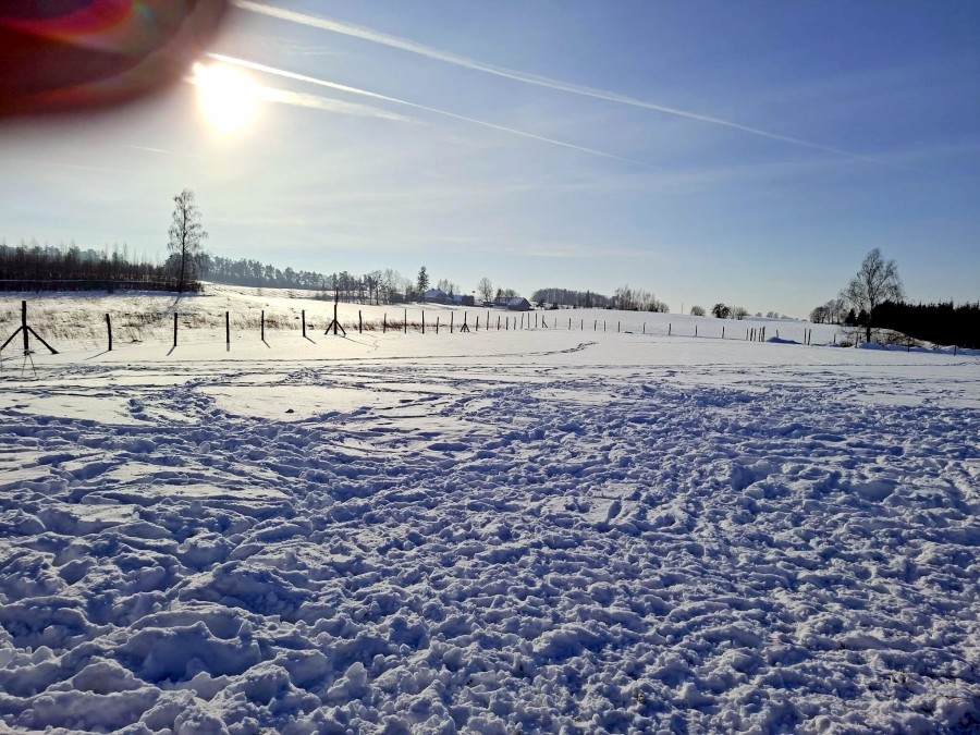 węgorzewski, Pozezdrze, Pieczarki, Działka bud. Pieczarki gm Pozezdrze