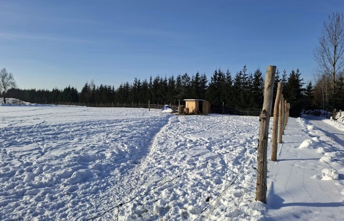 węgorzewski, Pozezdrze, Pieczarki, Działka bud. Pieczarki gm Pozezdrze