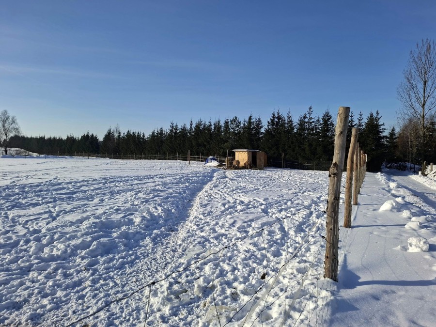 węgorzewski, Pozezdrze, Pieczarki, Działka bud. Pieczarki gm Pozezdrze