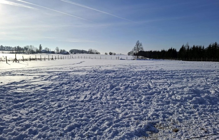 węgorzewski, Pozezdrze, Pieczarki, Działka bud. Pieczarki gm Pozezdrze