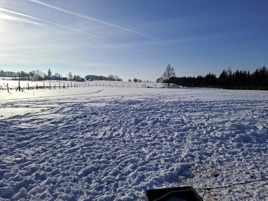węgorzewski, Pozezdrze, Pieczarki, Działka bud. Pieczarki gm Pozezdrze