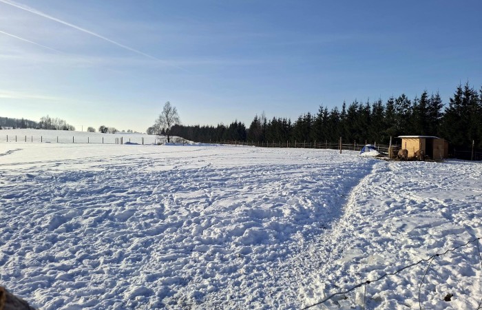 węgorzewski, Pozezdrze, Pieczarki, Działka bud. Pieczarki gm Pozezdrze