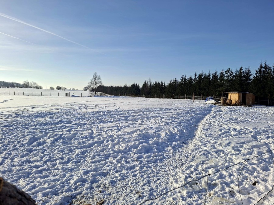 węgorzewski, Pozezdrze, Pieczarki, Działka bud. Pieczarki gm Pozezdrze