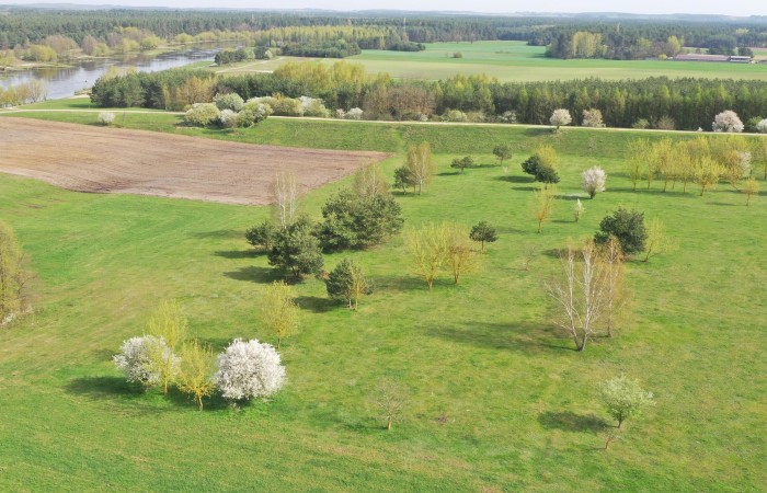 łomżyński, Nowogród, Śródpolna, Działki budowlane w pobliżu rzeki