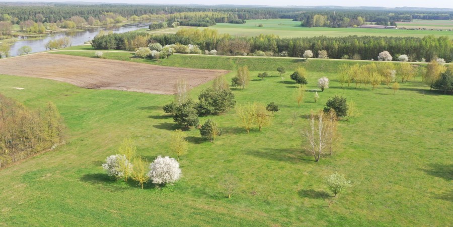 łomżyński, Nowogród, Śródpolna, Działki budowlane w pobliżu rzeki